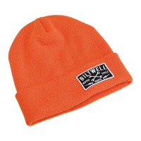 BILTWELL PATCH BEANIE