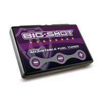 BIG SHOT ADJUSTABLE FUEL TUNER