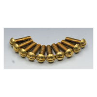 EASYRIDERS BRASS SLOTTED BOLT SET