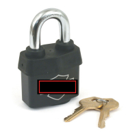 PADLOCK OEM