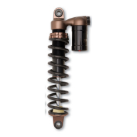 PS 970 SERIES PIGGYBACK SHOCKS, 12 1/2"