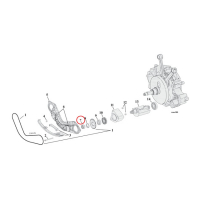 NUT, DRIVE SPROCKET BALANCERS/SPR.SHAFT