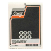 COLONY EARLY CRANKCASE NUTS