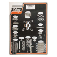 COLONY MOTOR SCREW SET