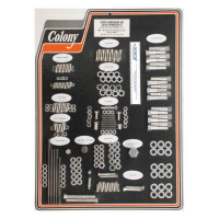 COLONY MOTOR SCREW SET