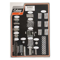 COLONY MOTOR SCREW SET