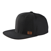 DICKIES MINNESOTA CAP