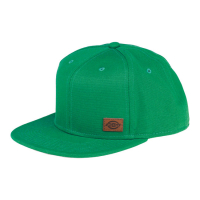 DICKIES MINNESOTA CAP