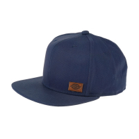 DICKIES MINNESOTA CAP