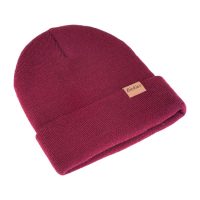 DICKIES ALASKA BEANIE