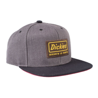 DICKIES JAMESTOWN CAP