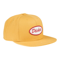 DICKIES SHERWOOD STARTER CAP