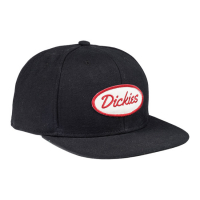 DICKIES SHERWOOD STARTER CAP