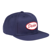 DICKIES SHERWOOD STARTER CAP