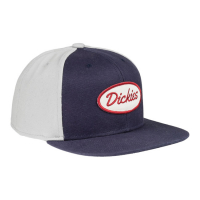 DICKIES SHERWOOD STARTER CAP