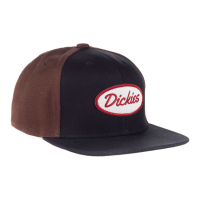 DICKIES SHERWOOD STARTER CAP