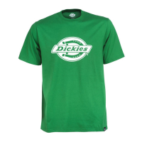 DICKIES HS ONE COLOR T-SHIRT MINT GREEN