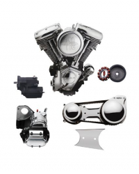 R/T 100 RAW BLT DRVLN KIT 6SPD (SERIAL#   MOTOR+GETRIEBE)