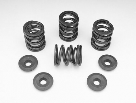 SPRING KIT-STEEL-B/T48-84