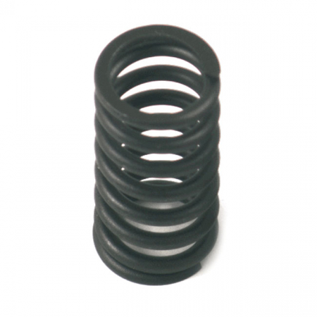 VALVE SPRING, INNER. STD REPLACEMENT