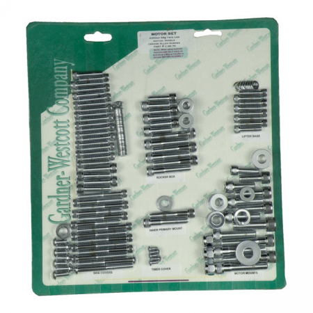 GW MOTOR SCREW SET, CHROME ALLEN