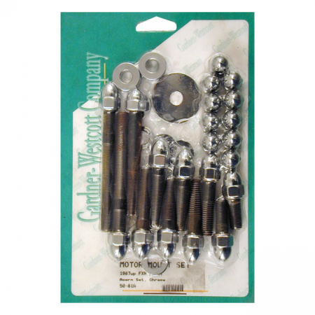 MOTOR MOUNT SCREW KIT, ACORN