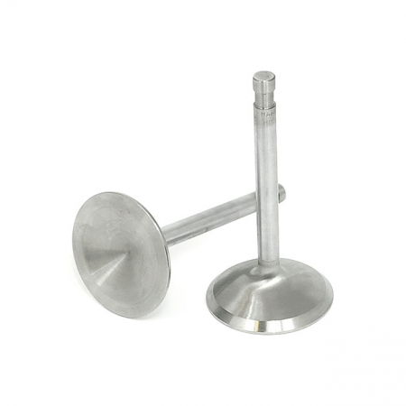 MANLEY, SEVERE DUTY STAINLESS VALVES, INTAKE. STD