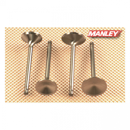 MANLEY, SEVERE DUTY STAINLESS VALVES, INTAKE. CONVERSION