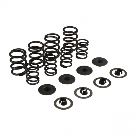 KPMI KNUCKLE VALVE SPRING KIT, .460 LIFT