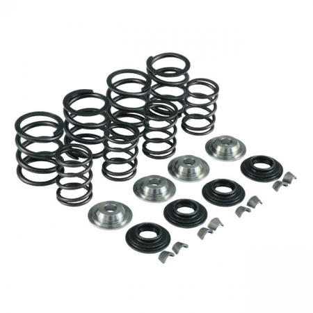 KPMI VALVE SPRING KIT .600 LIFT