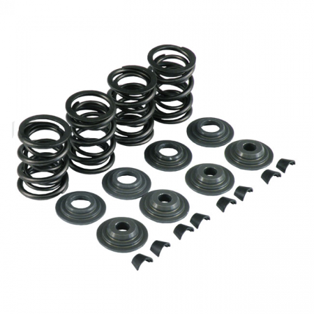 KPMI VALVE SPRING KIT .480 LIFT