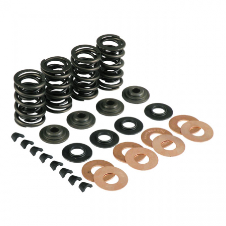 KPMI VALVE SPRING KIT .550 LIFT