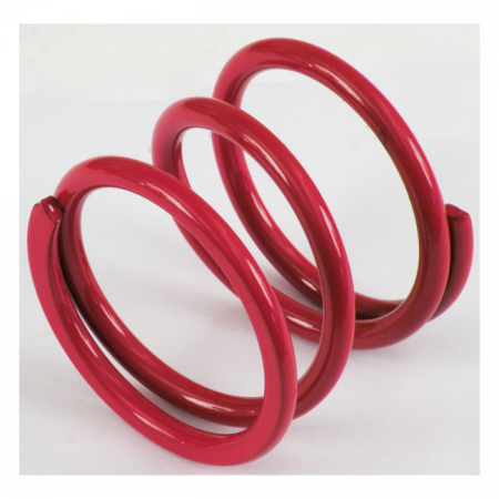 KPMI CLUTCH SPRINGS