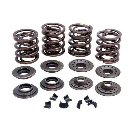 KPMI VALVE SPRING KIT, .415 LIFT