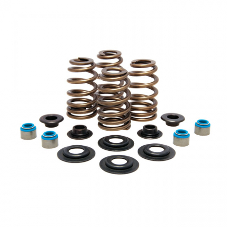 KPMI, BEEHIVE VALVE SPRING KIT. STEEL. .610" LIFT