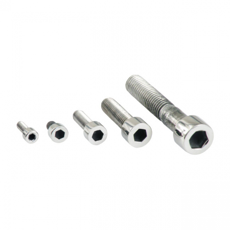 M10 X 55MM ALLEN BOLT, POL. STAINLESS