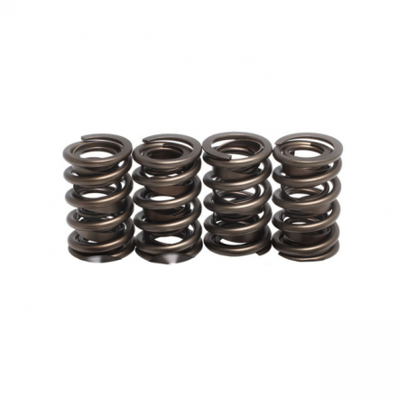 KPMI, REPL. VALVE SPRINGS