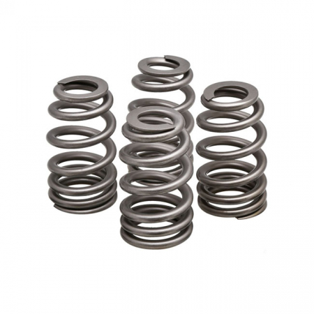 KPMI, REPL. VALVE SPRINGS