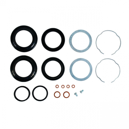 JAMES FORK SEAL REBUILD KIT