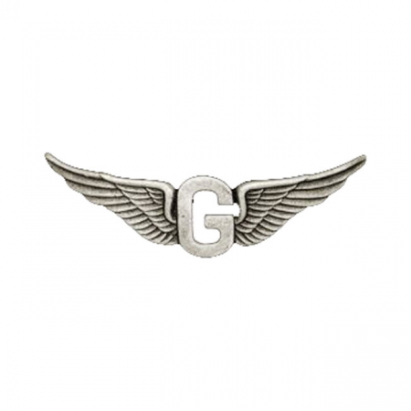 BIKER PINS GOLDWING G WING PIN