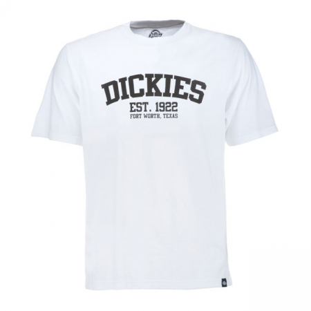 DICKIES FINLEY T-SHIRT WHITE