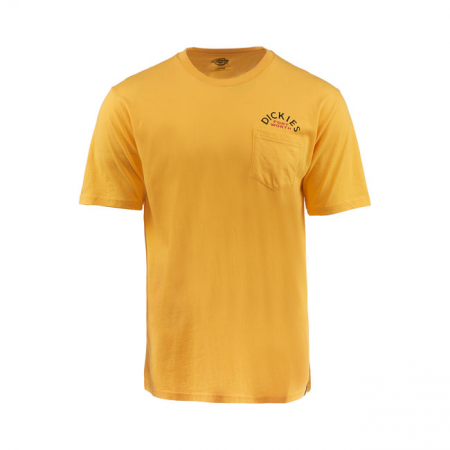 DICKIES PAWLING T-SHIRT CUSTARD