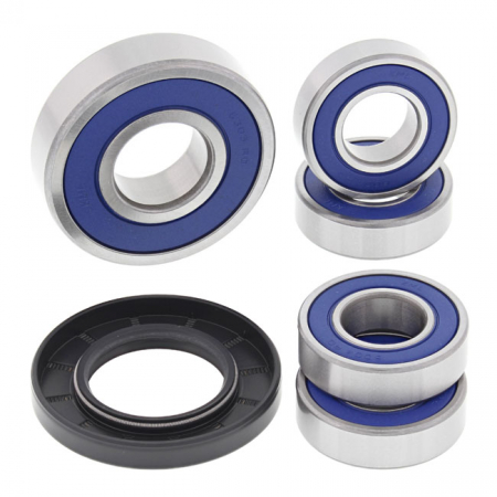 ALL BALLS WHEEL BEARING KIT, REAR