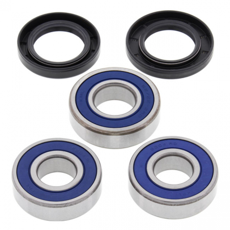 ALL BALLS WHEEL BEARING KIT, REAR