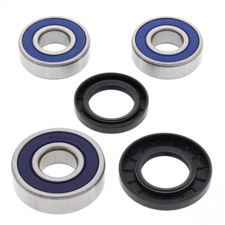 ALL BALLS WHEEL BEARING KIT, REAR