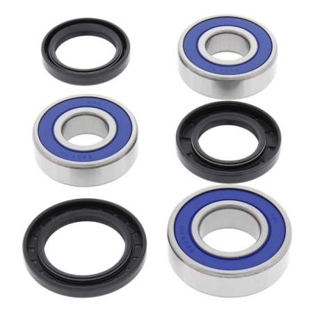 ALL BALLS WHEEL BEARING KIT, REAR