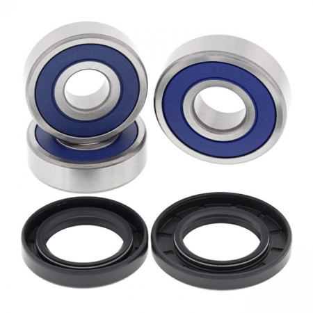 ALL BALLS WHEEL BEARING KIT, REAR