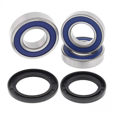 ALL BALLS WHEEL BEARING KIT, REAR