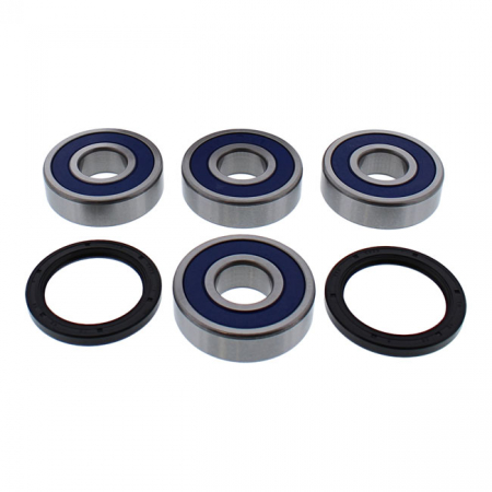 ALL BALLS WHEEL BEARING KIT, REAR