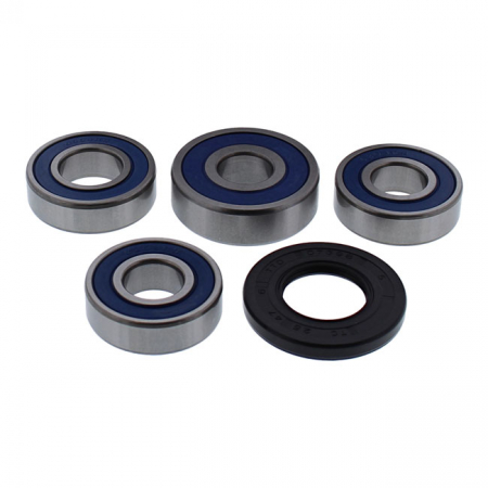 ALL BALLS WHEEL BEARING KIT, REAR